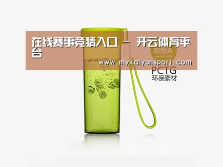 产品展示标题三