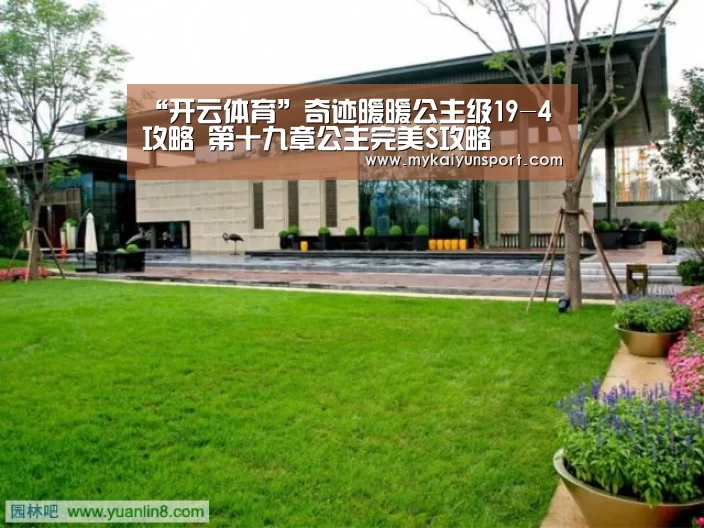 开云平台