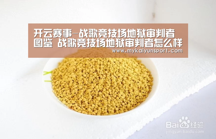 开云赛事-战歌竞技场地狱审判者图鉴 战歌竞技场地狱审判者怎么样(图1) 开云平台
